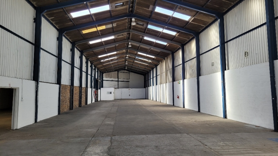 To Let commercial Property for Rent in Epping Industrial Western Cape